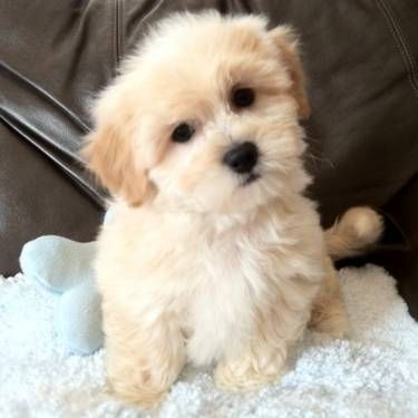 67e330e3f13cccb02e152fe57cf907f4