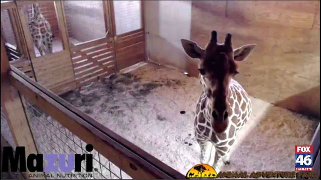 capture2_1487851887425_2796693_ver1-0_640_360