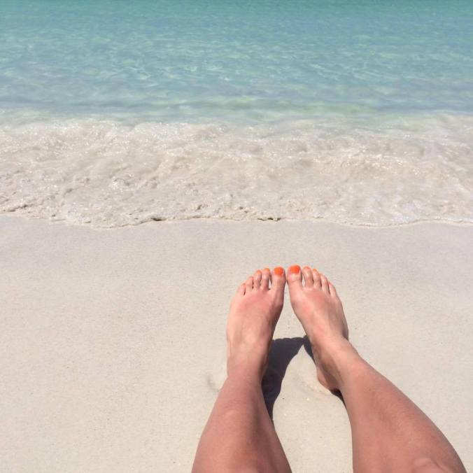 17629915_10210461727351997_6702608453757112937_n