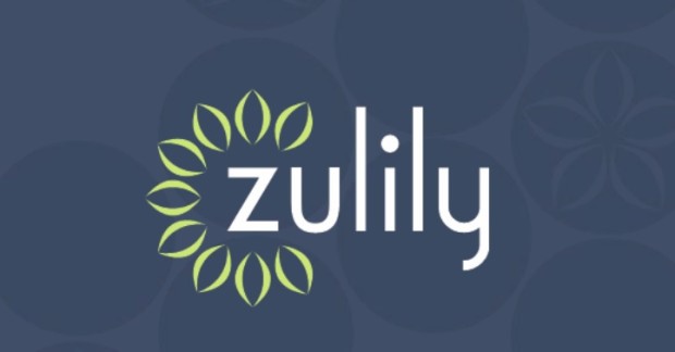 zulily-620x324