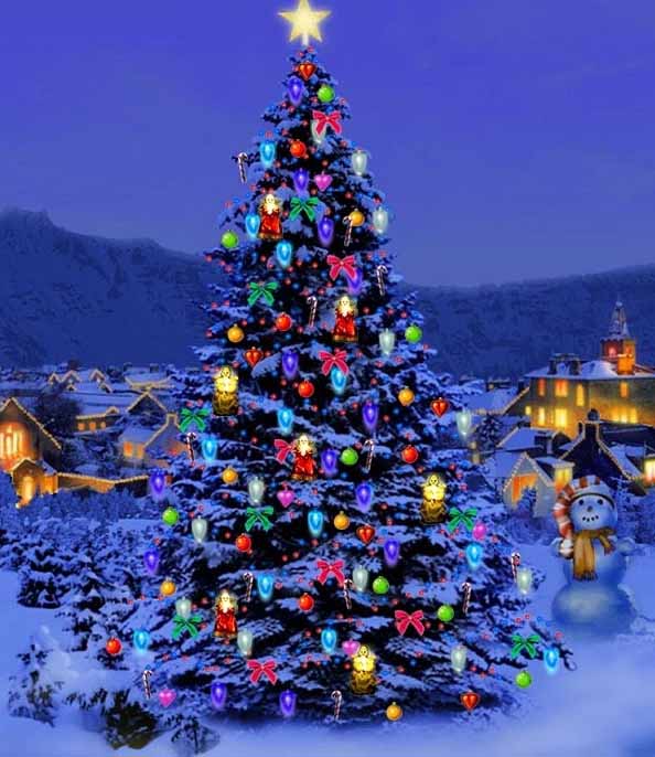 christmas-tree-nature