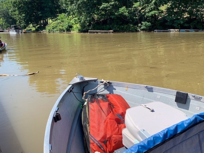 UNADJUSTEDNONRAW_thumb_3dda